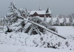 停電５万６千戸に 北海道、猛吹雪で