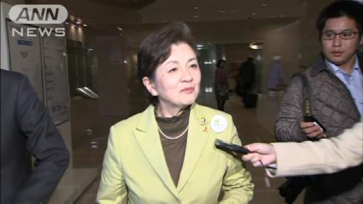 「日本未来の党」政党届け出 候補者100人擁立へ