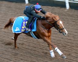 オルフェーヴル、ファン投票１位も有馬回避「満足できる状態でない」