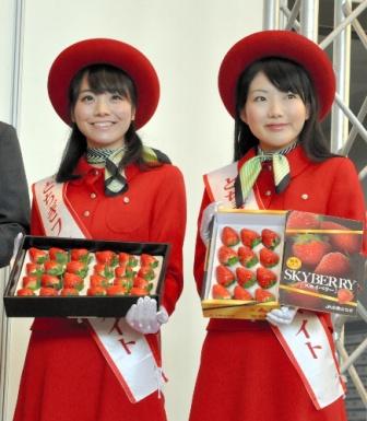 スカイベリー初出荷、イベントに長い列