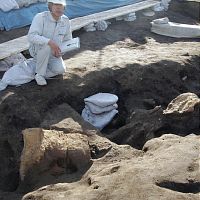 ６世紀の甲つけた人骨出土、火砕流遭遇か…群馬