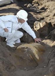 群馬・金井東裏遺跡:よろい着た人骨出土 古墳時代の火山灰地層から