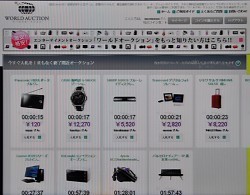 ほしのあき「30万円」で詐欺サイト広告塔 - 芸能ニュース : nikkansports.com