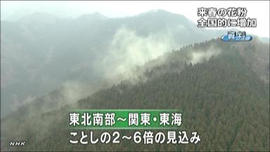 来春の花粉予測、関東は例年比１．５倍 西日本は少なめ