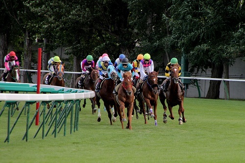 47NEWS ＞ 共同ニュース ＞ 有馬記念、ゴールドシップが優勝 Ｇ１で３勝目