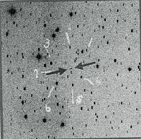 小惑星に「縄文青森」命名