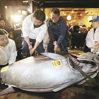 マグロ史上最高値１・５億円「異常としか…」