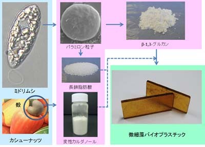 ミドリムシを主原料とするプラスチック、ＮＥＣなど開発