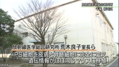 ｉＰＳ細胞「拒絶反応なし」確認 放医研などマウス実験