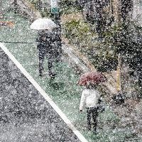 東京都心で初雪…平年より１１日遅く