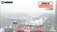 大雪、３６０人以上けが 爆弾低気圧、交通機関は大混乱