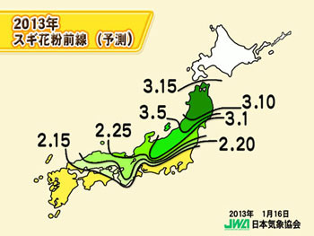 花粉、昨春の５～６倍