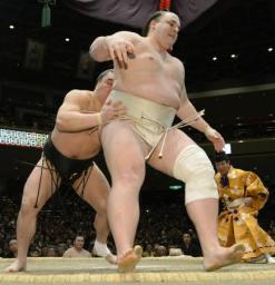 日馬、１０連勝、稀勢は勝ち越し…初場所１０日目