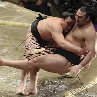 日馬富士が無傷の１１勝、白鵬は１０勝…初場所