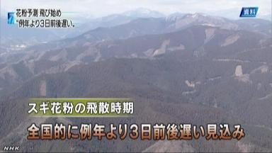 花粉飛散予測「今年は多め」