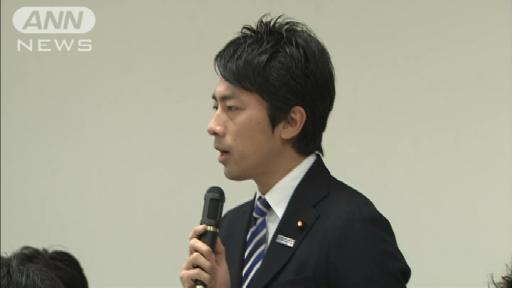 進次郎氏の影響力アップか 「自民党青年局」に７４議員