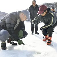 榛名湖ワカサギ釣り、解禁断念…セシウムなどで