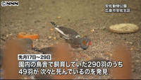 動物園で小鳥４９羽の死骸 食中毒菌を検出（広島県）