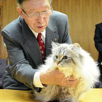 露大統領が贈った猫、やっと秋田知事のもとに