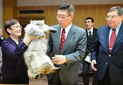 秋田県:プーチン露大統領贈呈の猫が到着「ミール」と命名