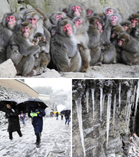 47NEWS ＞ 共同ニュース ＞ 湯布院で真冬日 大分県で今季初めて