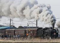 鉄道写真コレクション 93 JR東日本「SLおいでよ銚子号」成田線で運行! C61形20号機が牽引