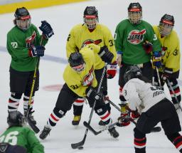 アイスホッケー日本女子がソチ五輪決めた