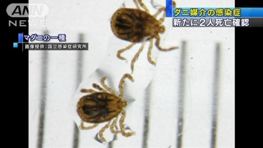 春から秋は要注意！“ダニ媒介”で新たに2人死亡