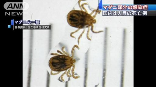 有効なワクチンなし…マダニ感染症4人目の死亡例