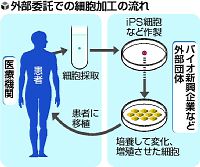 ｉＰＳ細胞加工、外部企業へ委託可能に…新法で