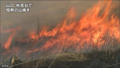 春告げる炎、一面に 山口・秋吉台で山焼き