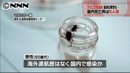 ダニ媒介疾患、国内５例目を確認＝長崎の６０代男性、０５年秋に死亡—厚労省