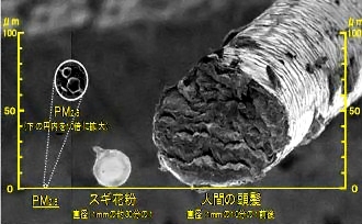 ＰＭ２．５指針:基準の倍で外出自粛 都道府県が周知