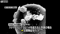 環境省 ＰＭ２．５で注意喚起の暫定指針（東京都）