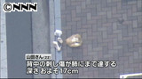 傷の深さ、肺に達していた 吉祥寺女性刺殺