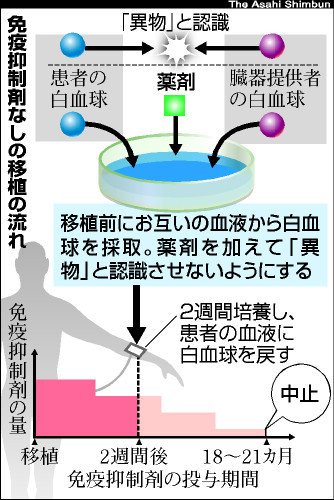 薬に頼らず拒絶反応抑制