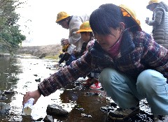 サケ:元気に帰ってきてね 稚魚放流に２００人−−嘉麻 ／福岡