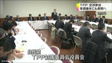 自民、「聖域」確保へ始動＝執行部は軟着陸探る－ＴＰＰ