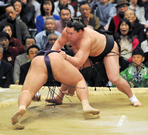 東の日馬 順風発進