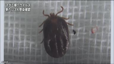 ＳＦＴＳウイルス:ダニ感染症で３人の発症確認−−長崎など３県