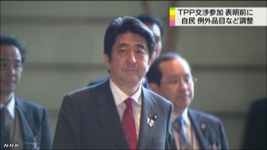 首相、15日にＴＰＰ交渉参加を表明へ