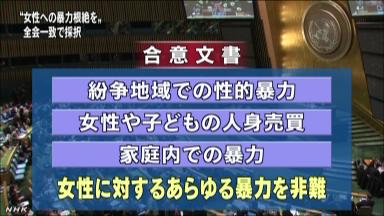 女性への暴力廃絶へ合意文書