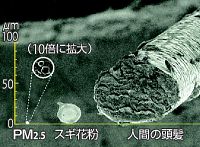 ＰＭ２・５ 黄砂で飛来増か