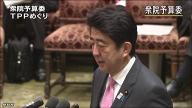 衆院予算委TPP集中審議 安倍首相、「強い交渉力」の内容説明