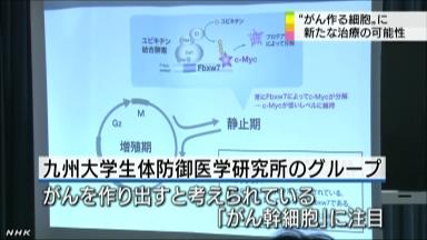 がんのもと:死滅に成功、根治療法に道 九大チームが発表