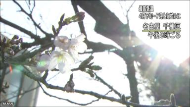 静岡28度、各地で夏日名古屋などで桜開花＝気象庁