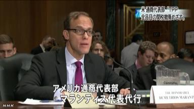 「TPPで日本市場は開くのか」米議員から懸念の声