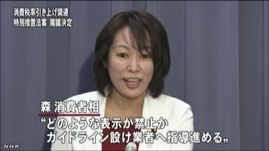 消費税転嫁特措法案を国会提出