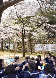 桜満開:東京も花見客でにぎわう