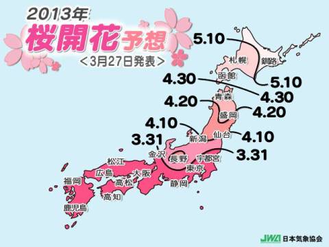 福井市で桜開花 平年より６日早く